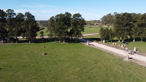 Imagen 13 de 14 de Terreno En Venta En Alejandro Petión