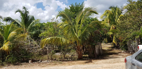 Tulum Qroo Km 8