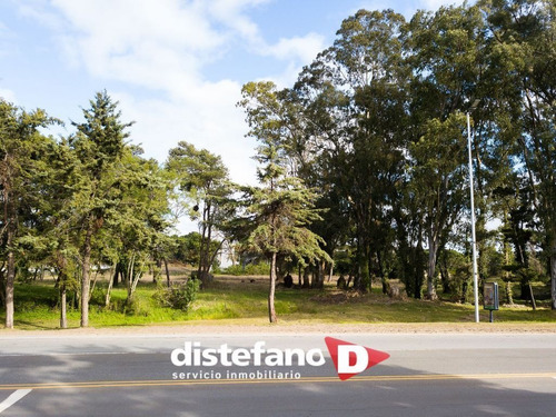 Imagen 10 de 12 de Terreno En Venta En Pinamar