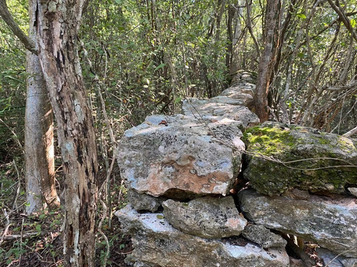 Hermoso Rancho A 4km De Tekit, Dentro Del Círculo De Cenotes