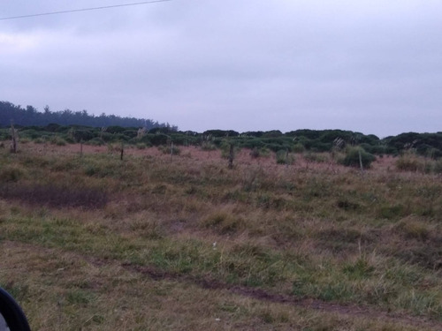 Imagen 6 de 6 de Latorre Prop. Vende 21 Hectareas - Cerca De La Ruta 2 - Camet