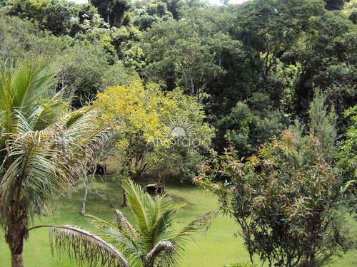 Imagem 17 de 24 de Sítio Com Lago, Ponte Alta, Jarinu - R$ 800 Mil, Cod: St012 - Vst012