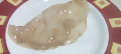 Kombucha - Scoby Muda - Probio - 10cm