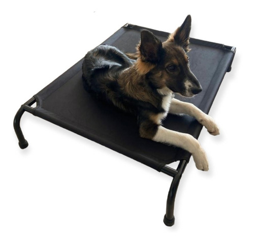 Imagen 7 de 10 de Cama Para Perro Mediana