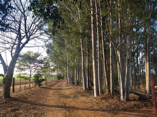 Venda De Rural / Chácara Na Cidade De Araraquara 10439