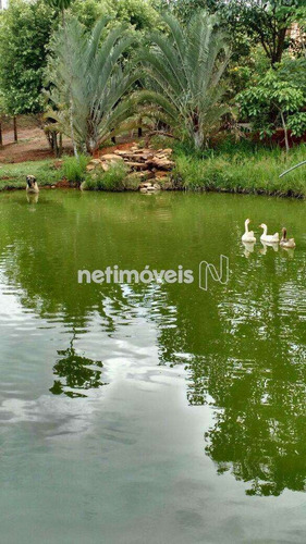 Imagem 19 de 29 de Venda Chácara Fazenda Manga Estiva Cristalina - 733717