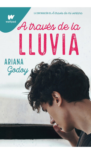 A Traves De La Lluvia - Ariana Godoy