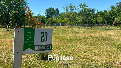 Terreno En Venta En Moreno
