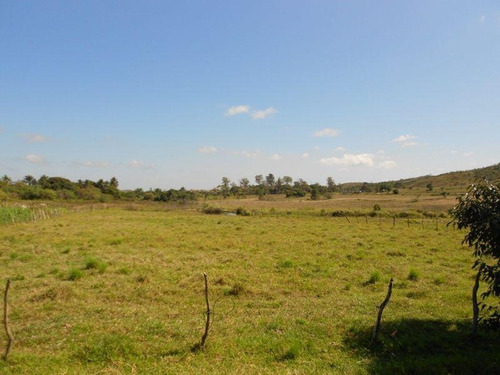 Imagem 1 de 14 de Área Para Venda Em Camaçari, Parafuso - 117_1-1292101