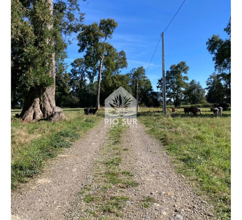Parcela 0,5ha Rio Bueno, Sector Crucero - Rio Sur Corretajes