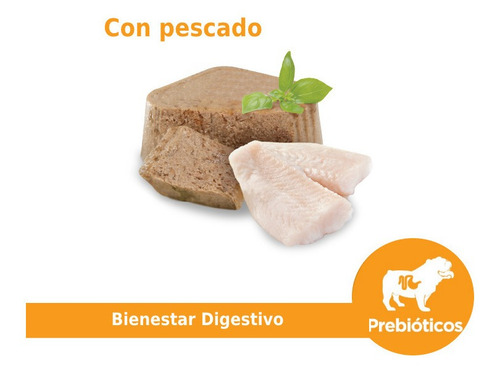 Digestive Hidrolizado Con Prebióticos Y Glutamina Nupec 100g
