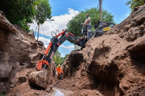 Implemento Excavador Professional Pecari Para Minicargadora
