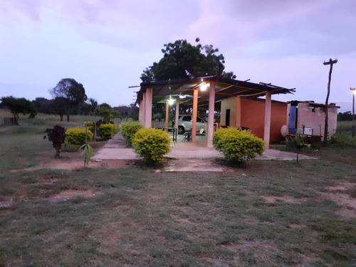 Imagen 5 de 15 de Finca En Venta, San Mateo, Anzoategui