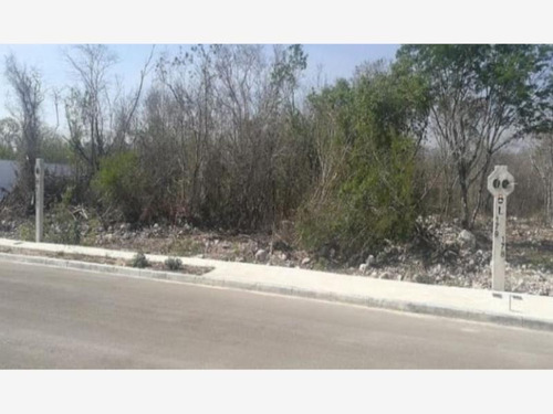 Imagen 19 de 27 de Venta Terreno Dzidzilche