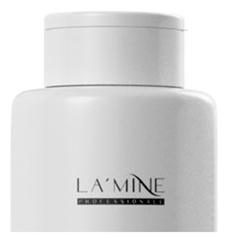 Shampoo Lisos Anti-frizz Lamine Professionale 500ml