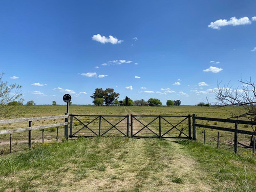 Muy Buen Campo Ganadero Con Mejoras En Tuyuti Partido De San Andres De Giles (b)