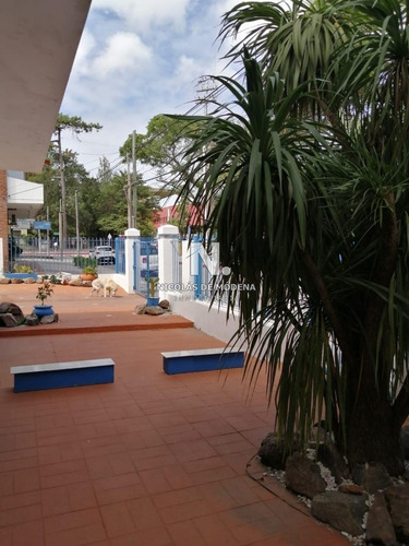 Casas En Venta Ubicadas En Zona Centro De Maldonado.-ref:4067