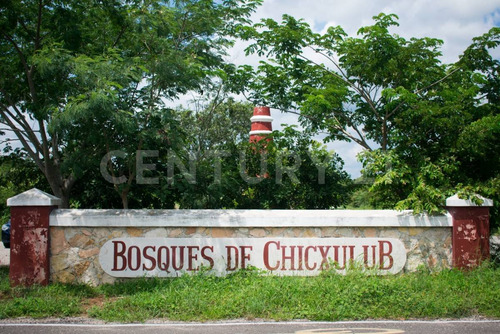 Terreno En Venta, En Chicxulub, Yucatán