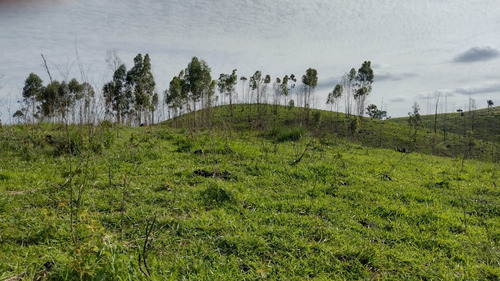 Imagem 5 de 11 de R82 Lotes De 1000m² Agende Seu Visita