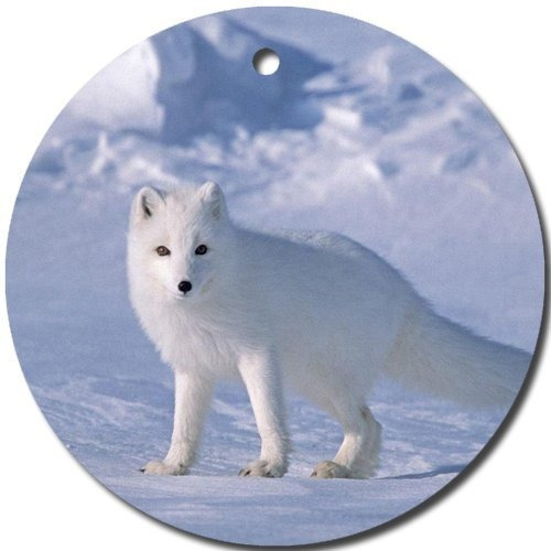 Arctic Fox Adorno Redondo Porcelana Navidad Gran Idea Regalo