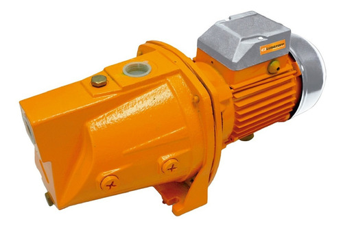 Bomba De Agua Centrífuga 1hp Auto Cebante Lusqtoff Color Naranja Fase eléctrica Monofásica