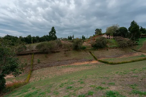 Cdo 3 - Rionegro - 2.755 M² - $495m