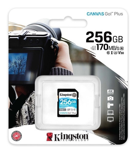 Tarjeta De Memoria Sd Kingston Canvas Go! Plus 256gb