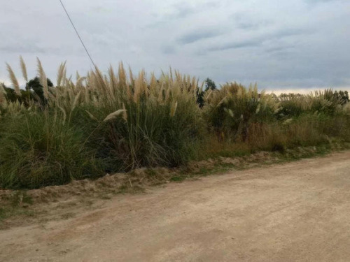 Terreno En Venta - 445mts2 - Balneario Marisol, Coronel Dorrego