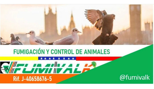 Imagen 9 de 10 de Control De Roedores , Desinfeccion Covid 19, Fumigacion