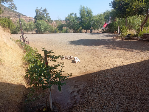 Venta De Parcela Con Casa En Lomas De San Isidro, Quillota