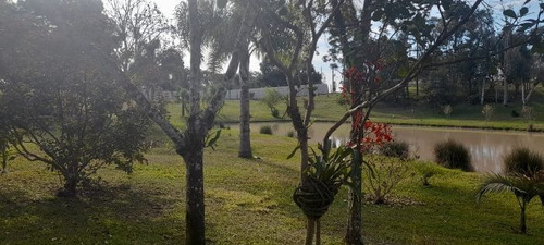 Imagem 26 de 29 de Fazenda À Venda Na Francisco Schena, Roseira, Campina Grande Do Sul - Pr - Liv-17183