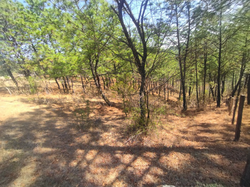 Terreno Grande  Perfecto Para Rancho O Cabañas Area Boscosa Atras De Fraccionamiento Privado