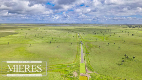 Campo En Rocha Ganadero Agrícola 125ha (ref: Atm-7988)