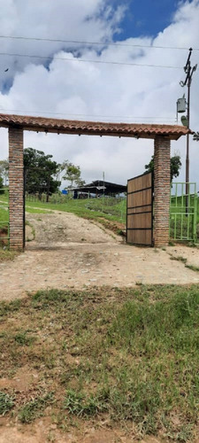 Imagen 24 de 27 de Finca En Venta Chiguará