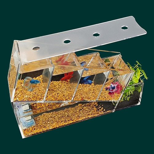 Aquário De Peixes Betta, Tigela De Mesa Multiuso Para