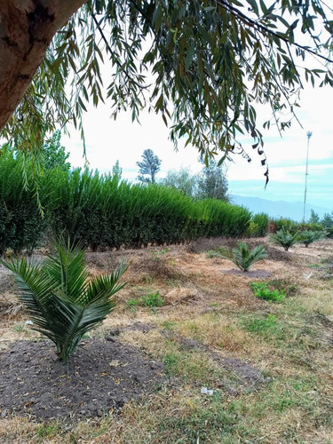 Excelente Terreno 3600 M2 Vi Región (177158)