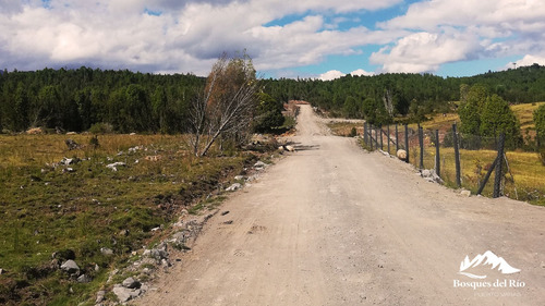 Black Friday 50% Dcto - Parcela 5.000 M2 Bosque Nativo Y Río