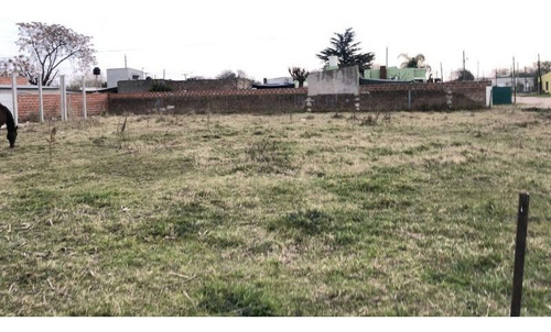 Imagen 1 de 3 de Terreno En Venta En Lobos