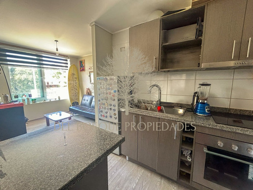 Arriendo Departamento En Mirador Placeres Marzo A Diciembre