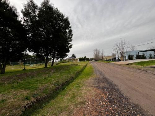 Terreno En Venta - 669mts2 - General Belgrano