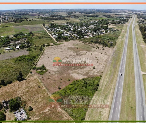 Imagen 14 de 14 de Terreno En Alquiler 44.857 M2 Urbanos Ruta 5 Apto Parque Industrial U$s 0.10 (el M2)