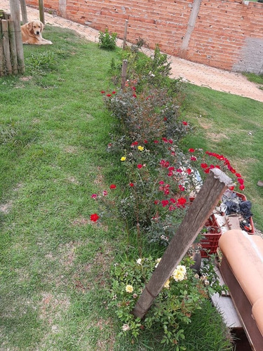 Imagem 6 de 30 de Chácara Com 4 Dormitórios À Venda, 800 M² Por R$ 530.000 - Vila Rica - Itapeva/são Paulo - Ch0264
