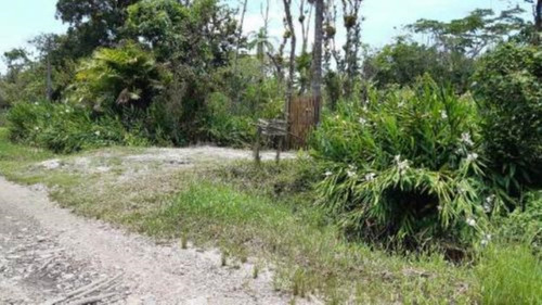 Imagem 4 de 6 de Terreno No Litoral Com 5080 M², Lado Serra. Itanhaém/sp