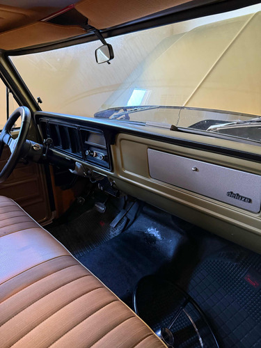 F100 1980