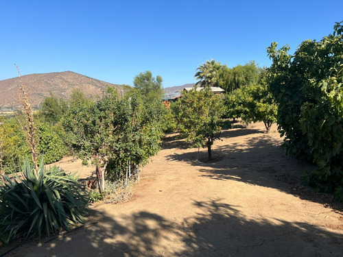 Vende Casa Tereno En Camino El Toro Curacavi Con Recepcion