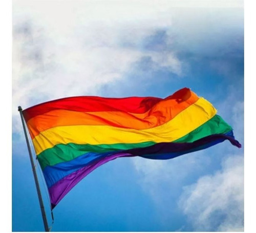 Imagen 2 de 5 de Bandera Lgbt Orgullo Gay 90 X 150 Cm