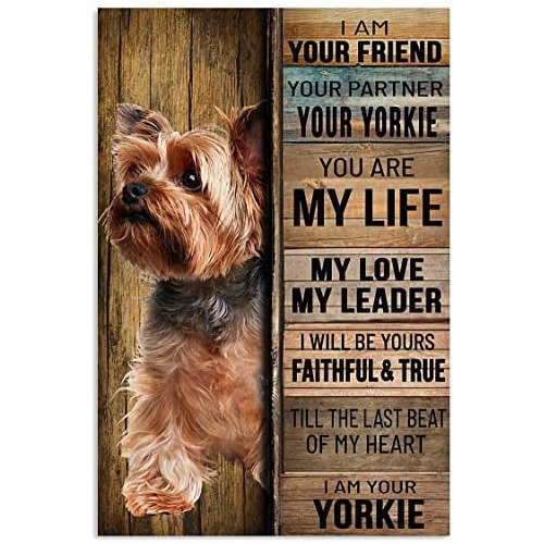 Cartel De Metal  Yorkshire Terrier Dog I Am Your Friend...