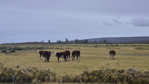 Campo En Valcheta. Rio Negro