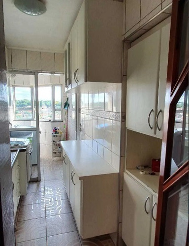 08144 - Apartamento 3 Dorms. (1 Suíte), Jardim Íris - São Paulo/sp - 8144