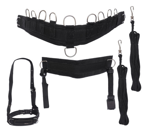 Conjunto De Charreteador Utilizado Para Doma - Chareteador